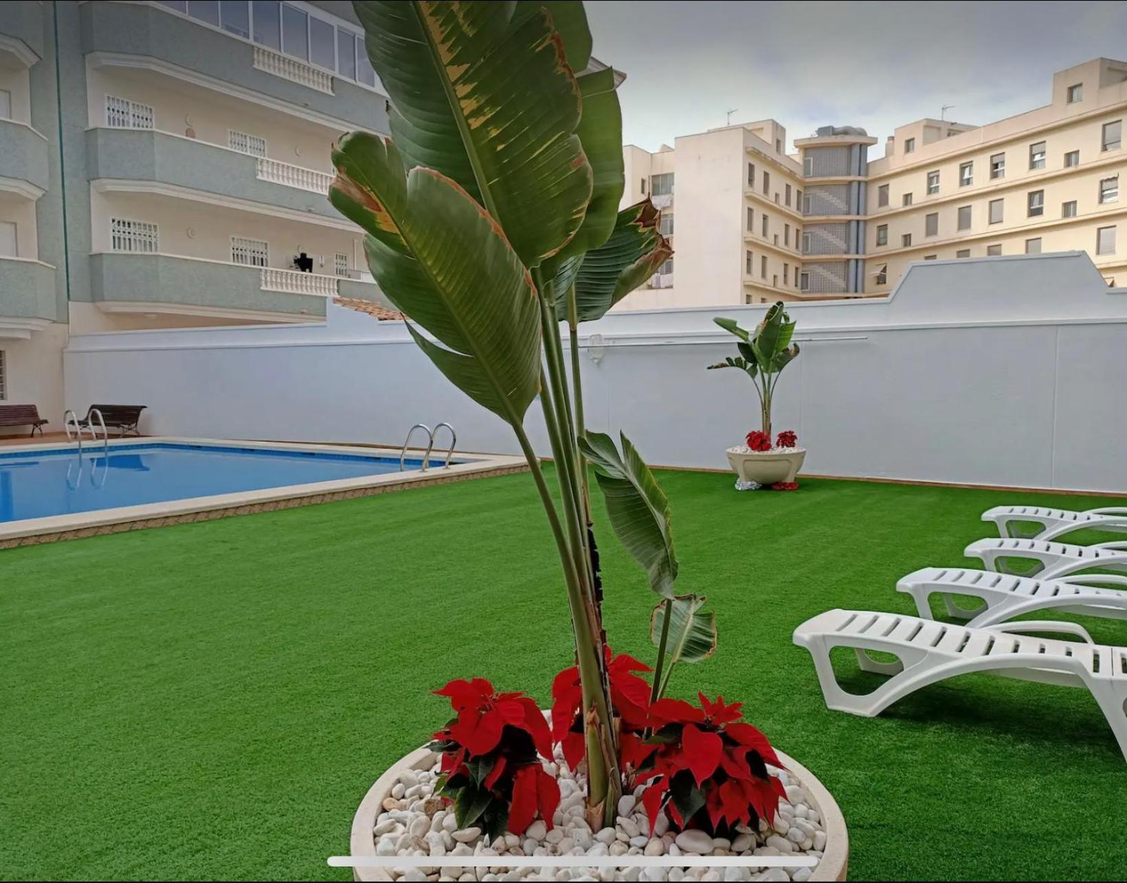Exclusive Penthouse Pool & Beach - Lovely For Families - Los Pinos Residential El Campello Eksteriør bilde